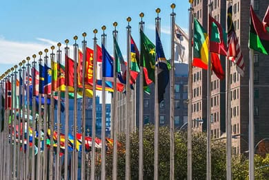 A long row of national flags flying on flagpoles.